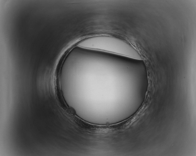 X0000094420342200711081003