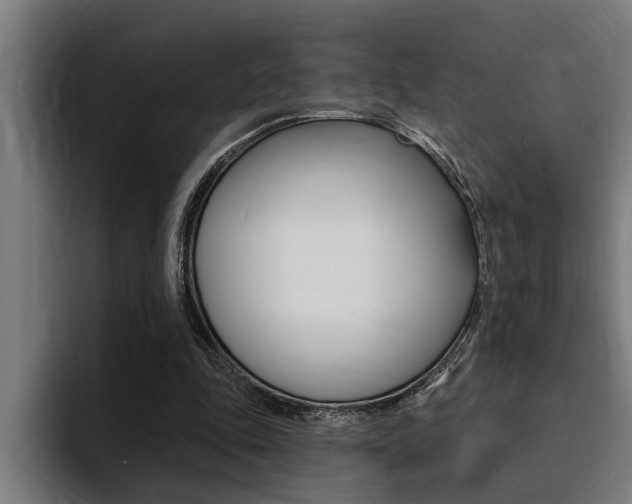 X0000094420343200711081003