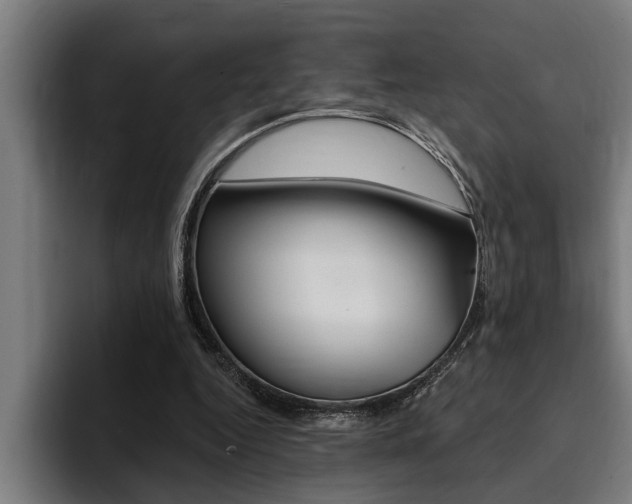 X0000094420344200711081003