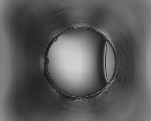X0000094420345200711081003