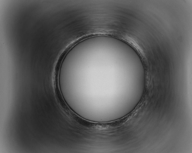 X0000094420346200711081003