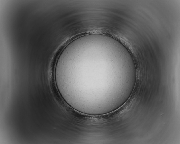 X0000094420347200711081003