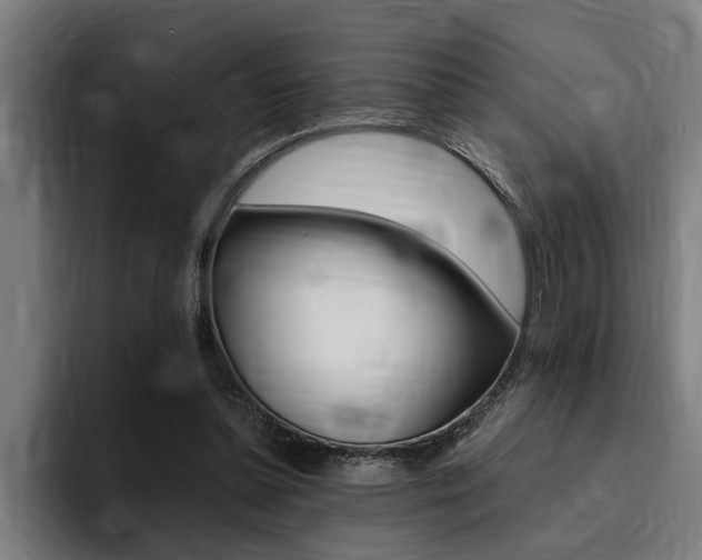 X0000094420348200711081003