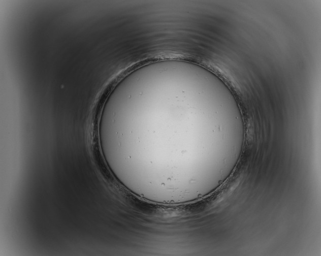 X0000094420351200711081003