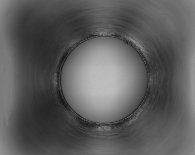 X0000094420353200711081003