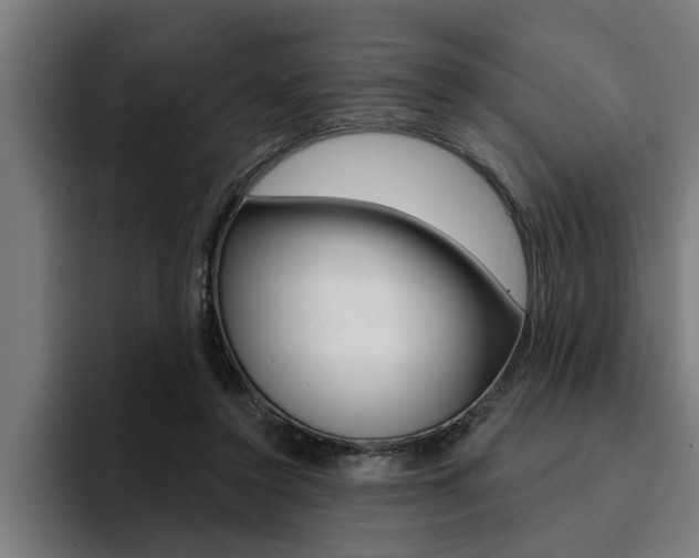 X0000094420356200711081003