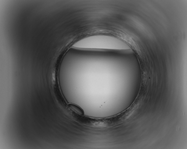 X0000094420358200711081003