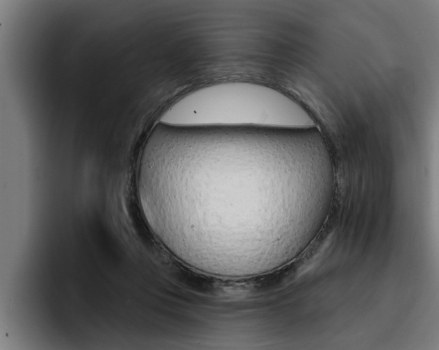X0000094420359200711081003