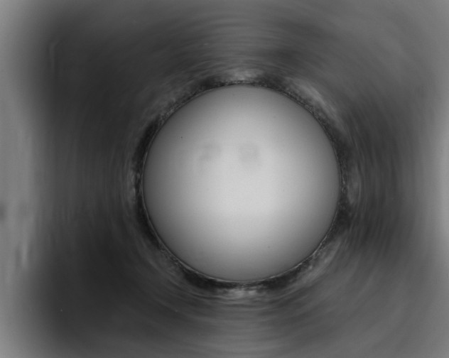 X0000094420366200711081003