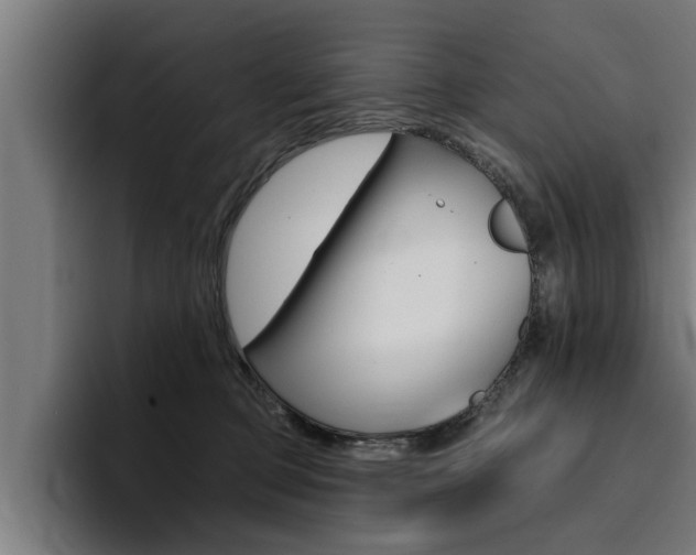 X0000094420373200711081003