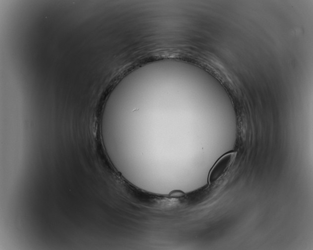 X0000094420374200711081003