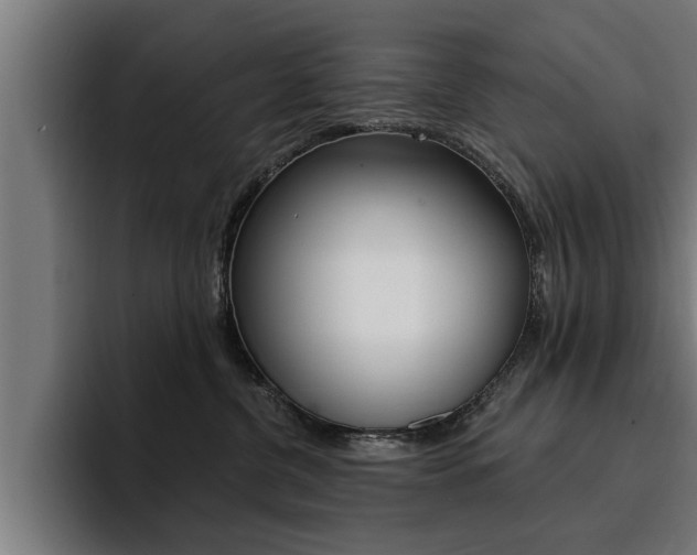 X0000094420380200711081004