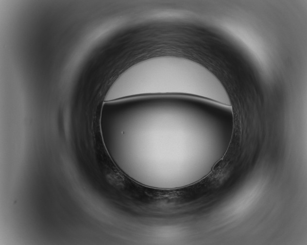 X0000094420382200711081004