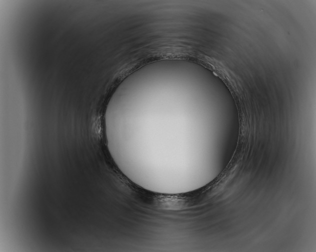 X0000094420383200711081004