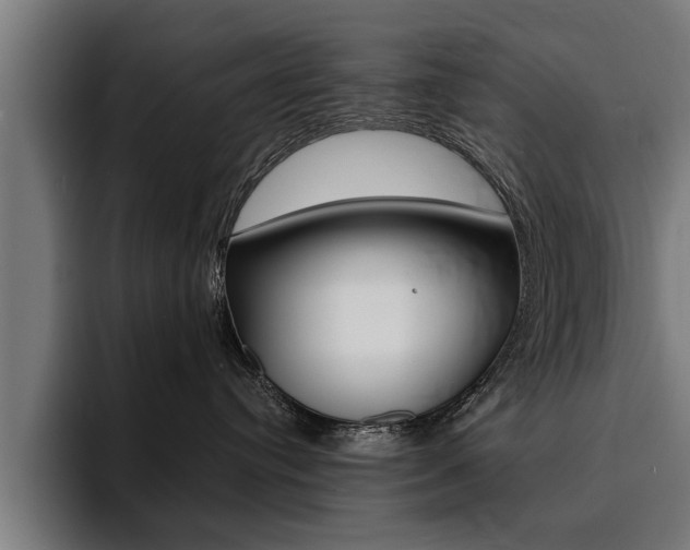 X0000094420384200711081004