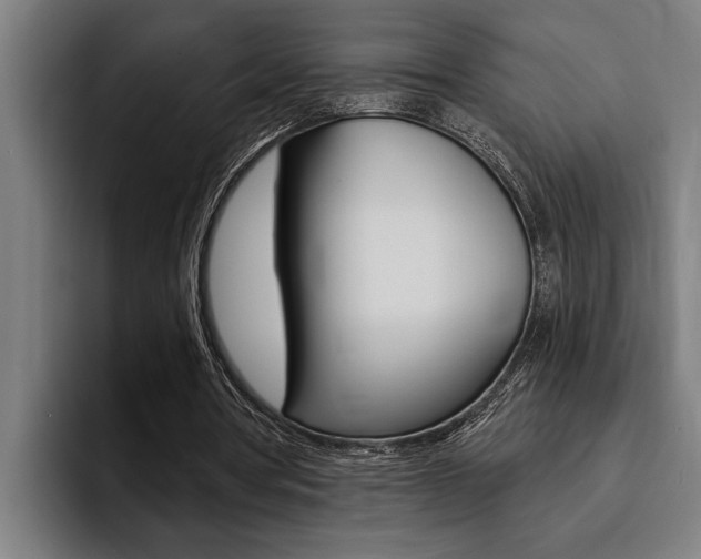 X0000094420386200711081003