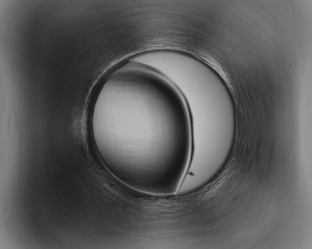X0000094420387200711081003