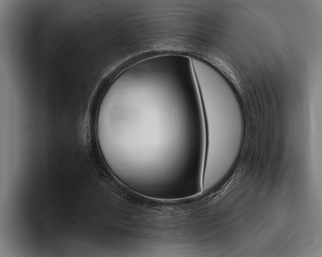 X0000094420388200711081003