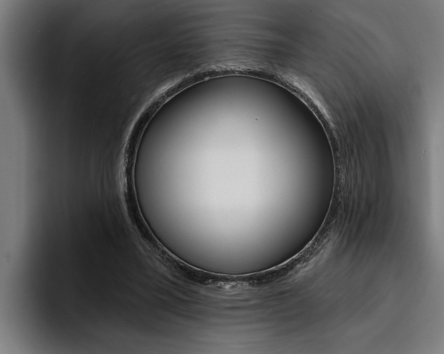 X0000094420395200711081003