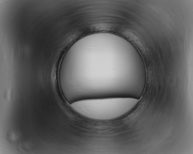 X0000094420398200711081003