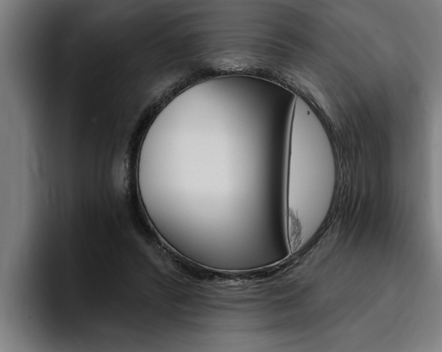 X0000094420400200711081003