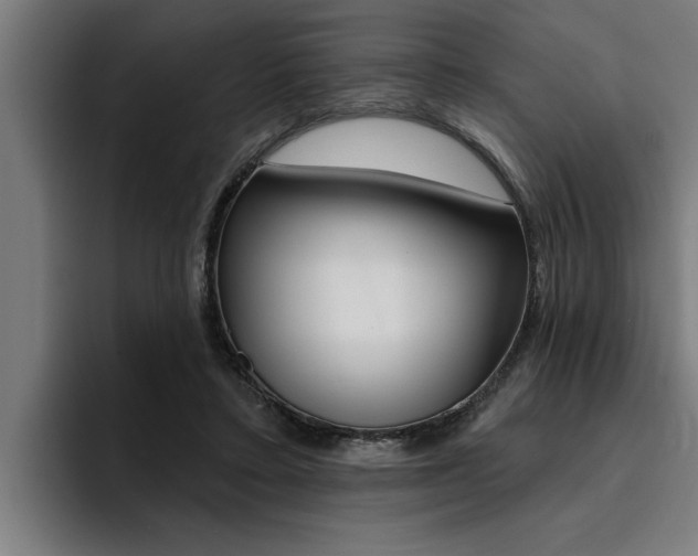 X0000094420403200711081003