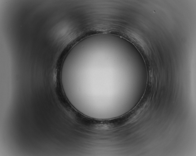 X0000094420404200711081003