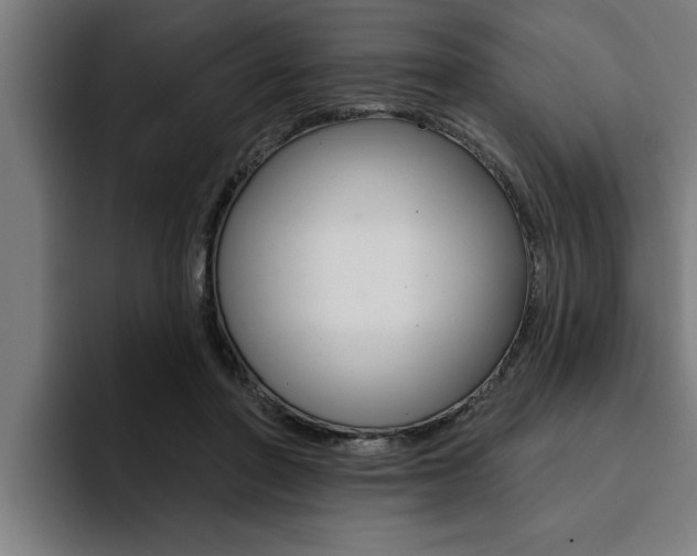 X0000094420406200711081003