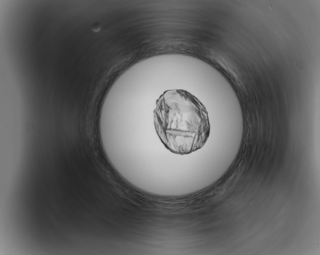 X0000094420407200711081003