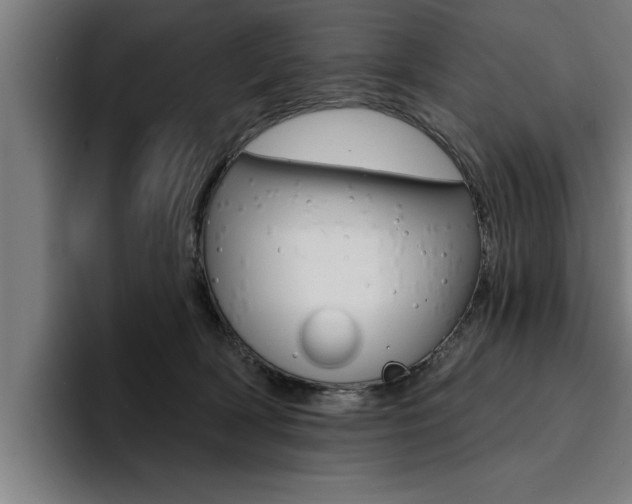 X0000094420418200711081002