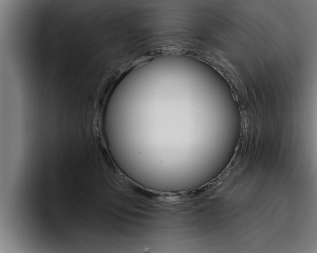 X0000094420419200711081002