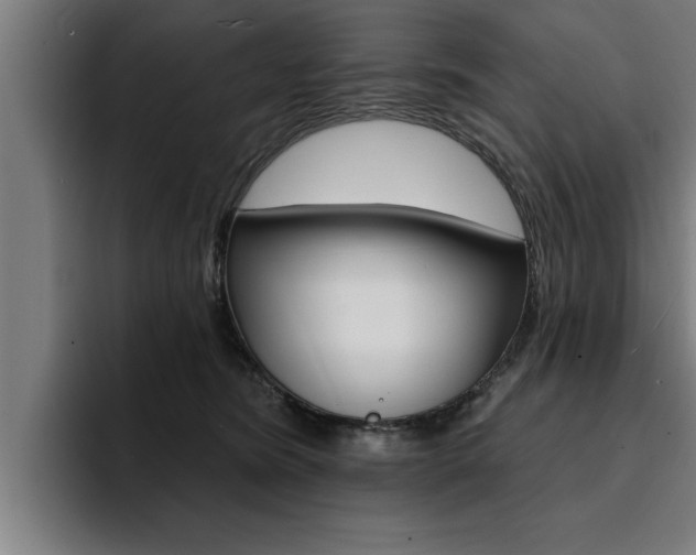 X0000094420420200711081002