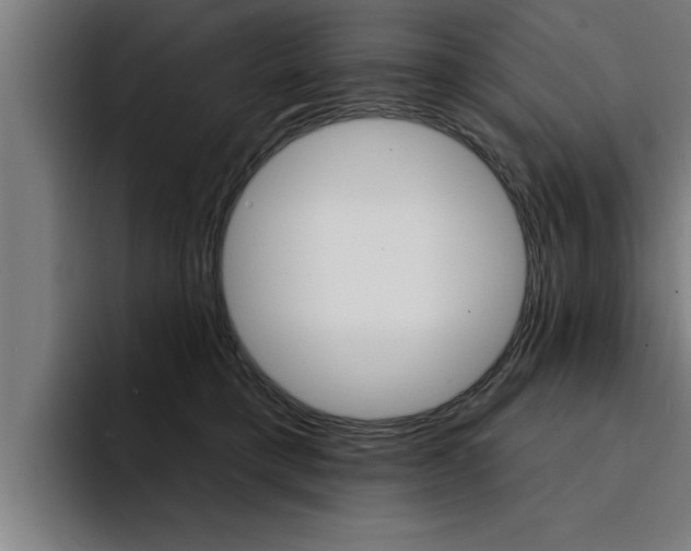 X0000094420421200711081002