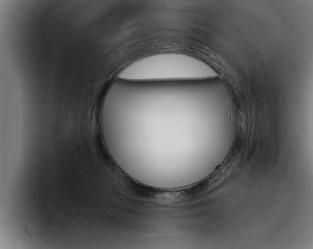 X0000094420422200711081002
