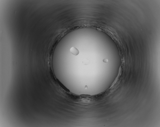 X0000094420423200711081002