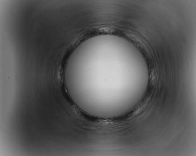 X0000094420424200711081002