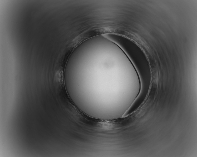 X0000094420425200711081002