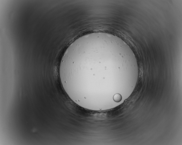 X0000094420426200711081002
