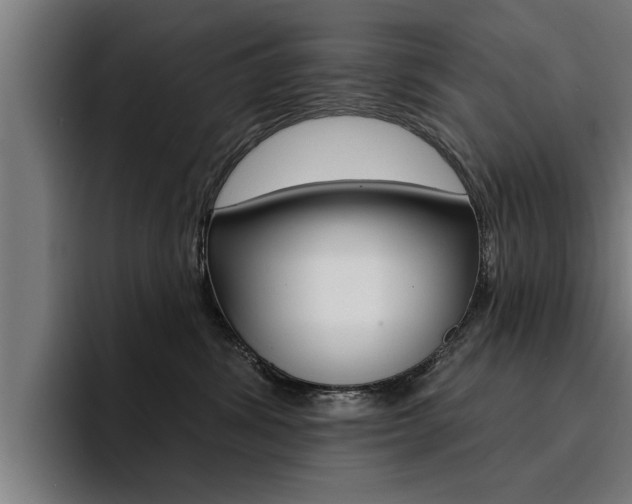 X0000094420428200711081002