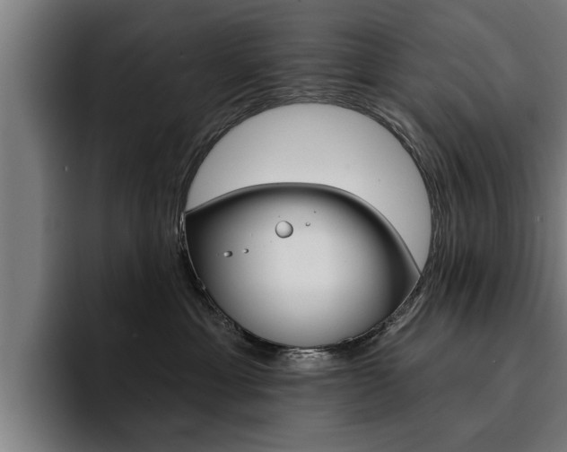 X0000094420429200711081002