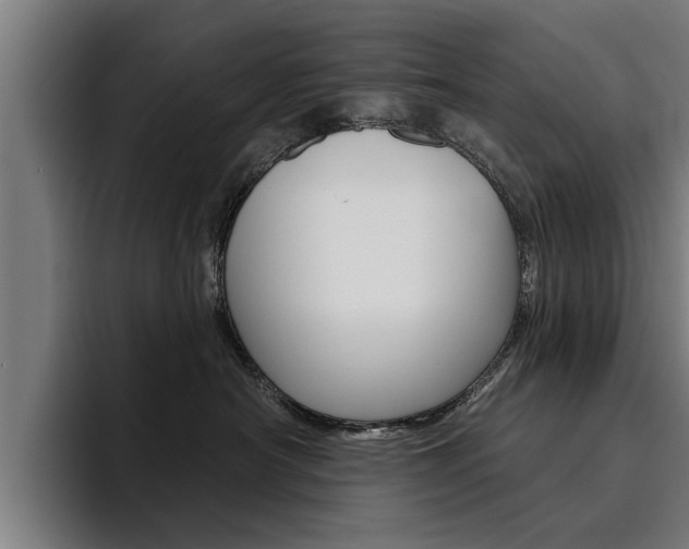 X0000094420430200711081002
