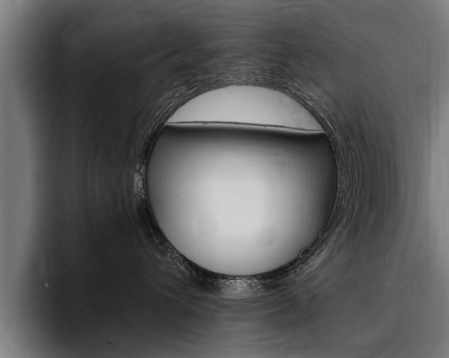 X0000094420432200711081002