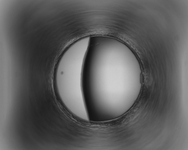 X0000094420434200711081002