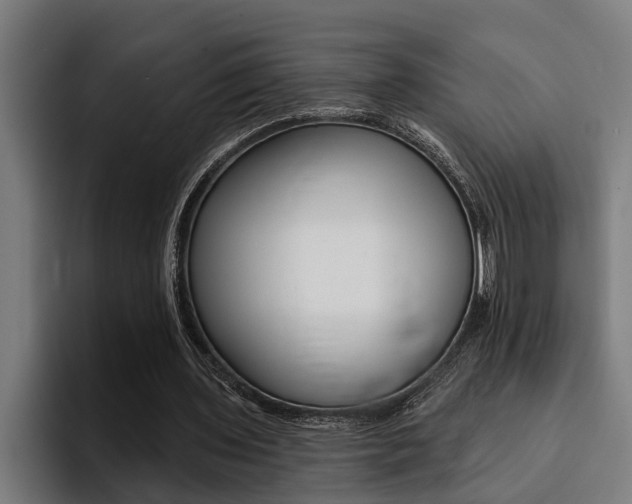 X0000094420435200711081002