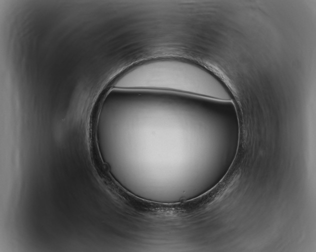 X0000094420439200711081002