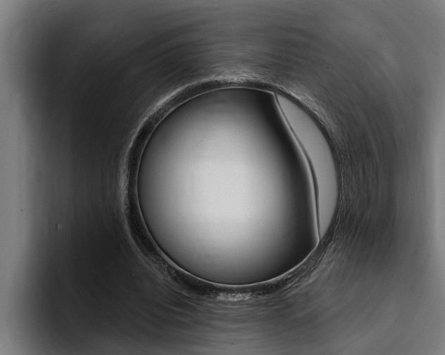 X0000094420440200711081002