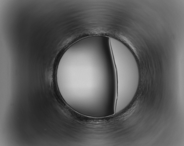 X0000094420443200711081002