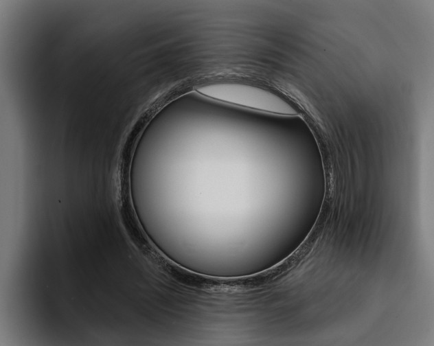 X0000094420444200711081002