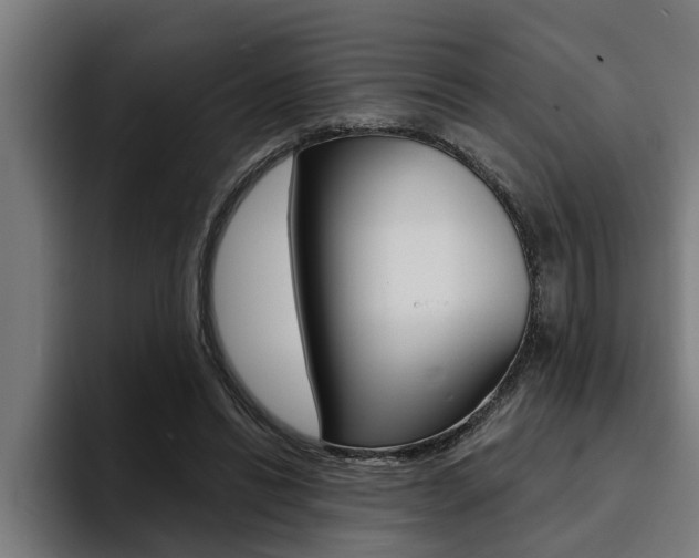X0000094420446200711081002