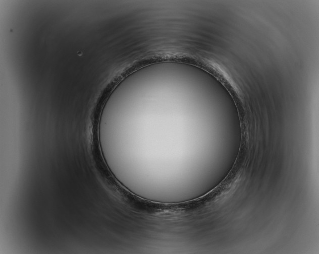 X0000094420447200711081002